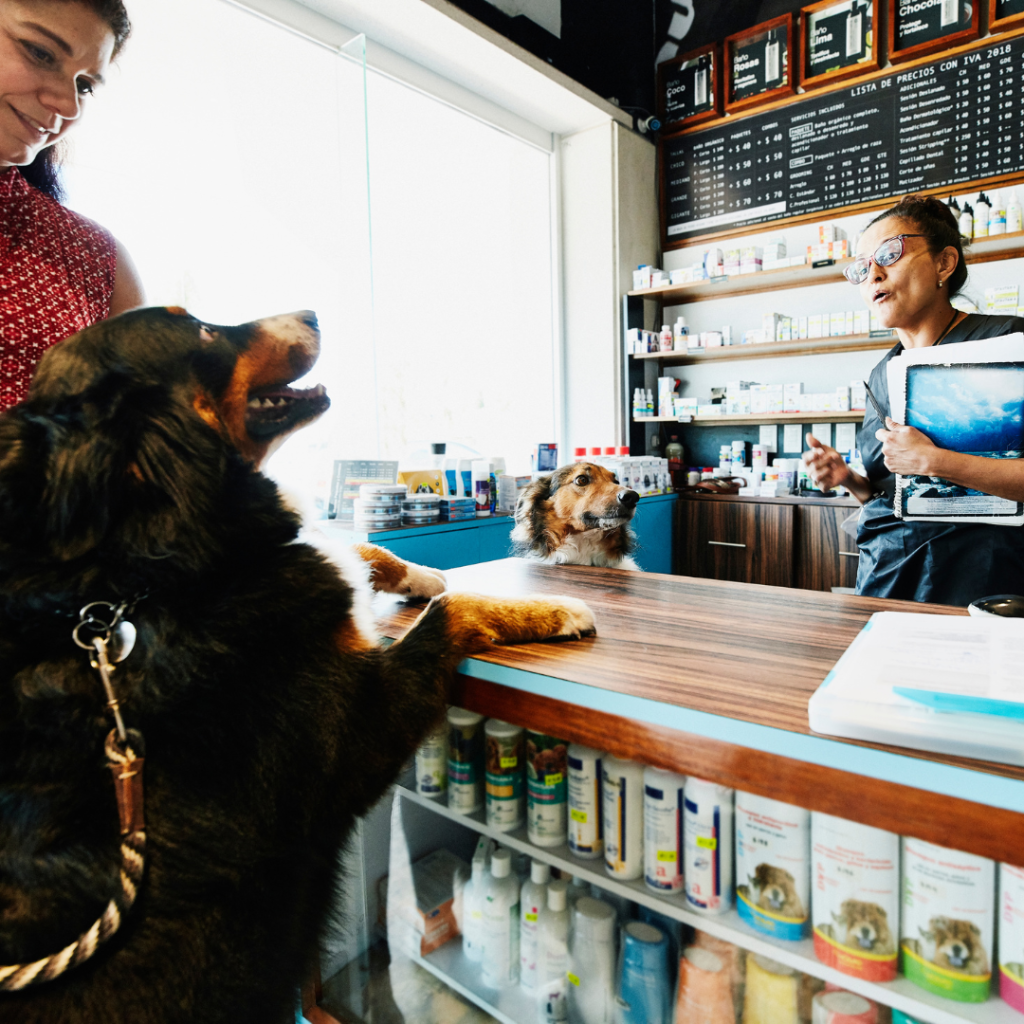 pet shop with customers